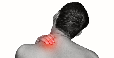 Bevægelsesapparatet