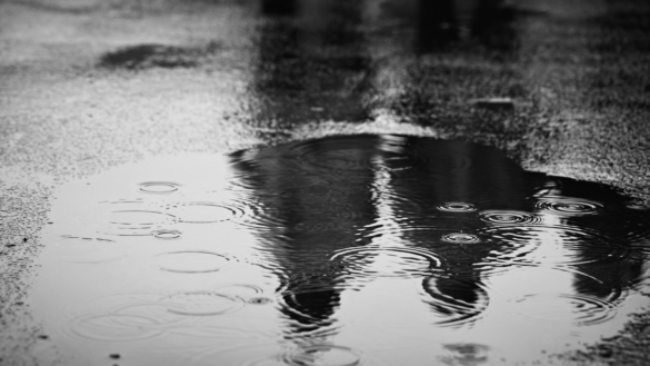 Skizofreni.Symptomer og at leve med sygdommen.