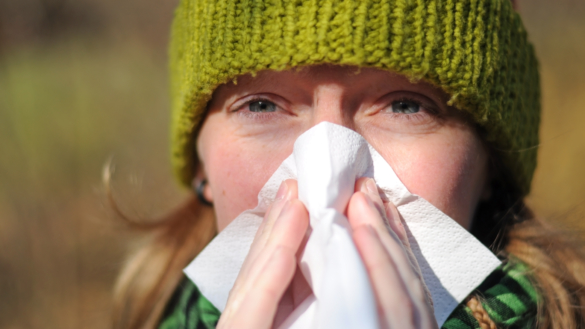 Høfeber (allergisk rhinitis) Hjælp og behandling.