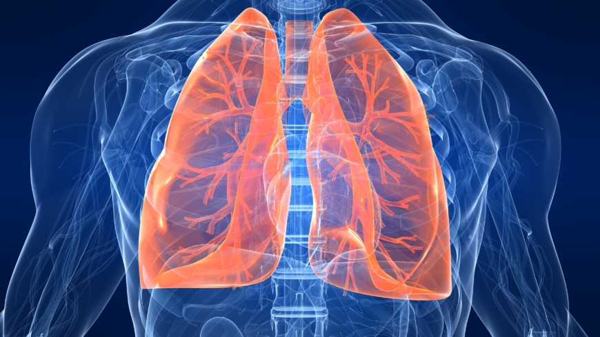 Diagnosen lungefibriose stilles igennem ”detektivarbejde” og udelukkelsesmetoden.