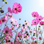 Herpes genitalis (herpes på kønsdelene)