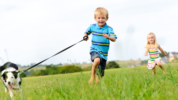 Pollenallergi hos børn. Symptomer og behandlinger